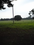 CA3A0009.jpg