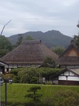 CA3A0219.jpg