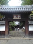 CA3A0223.jpg