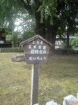 CA3A0226.jpg